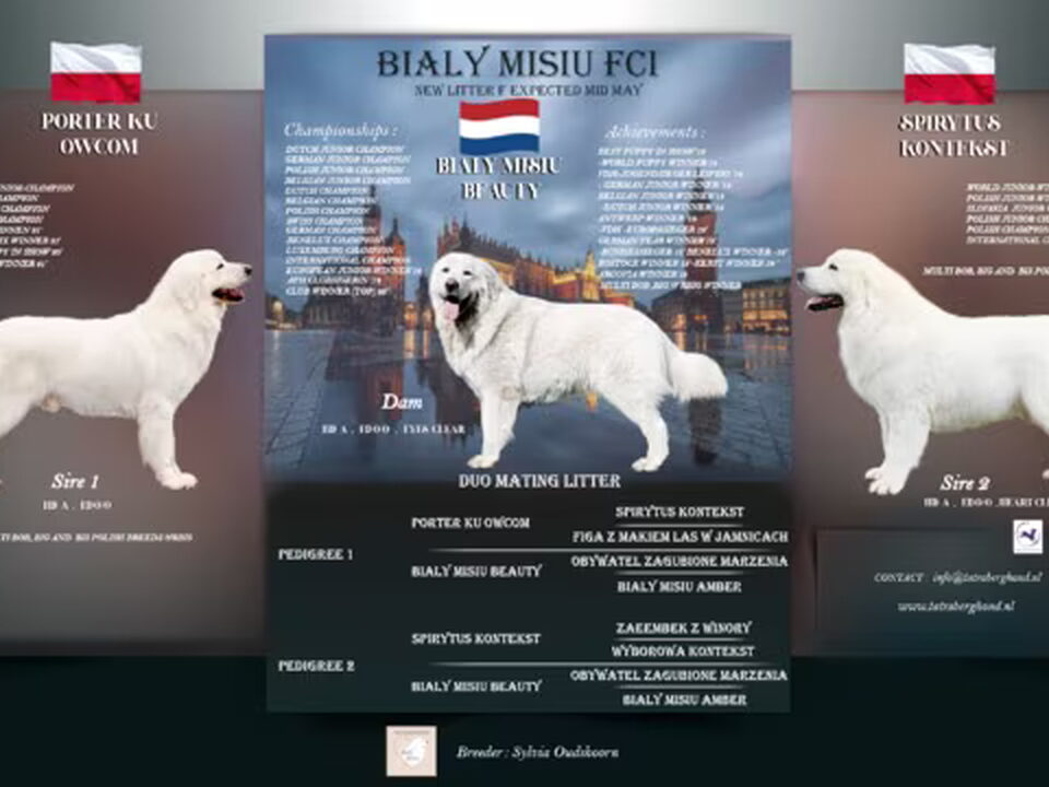 Pups van Bialy Misiu