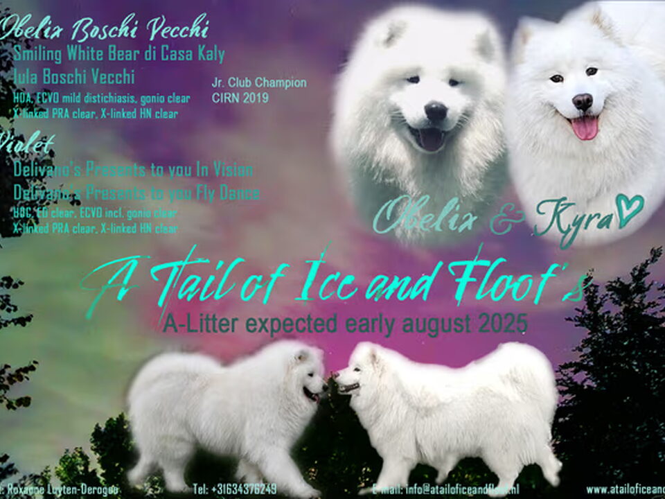 Foto van A Tail of Ice&Floof